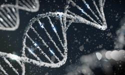 Featured image of post 発達障害は遺伝する？30歳で診断された私が「親譲りの特性」をポジティブに捉えられた理由