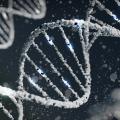 発達障害は遺伝する？30歳で診断された私が「親譲りの特性」をポジティブに捉えられた理由
