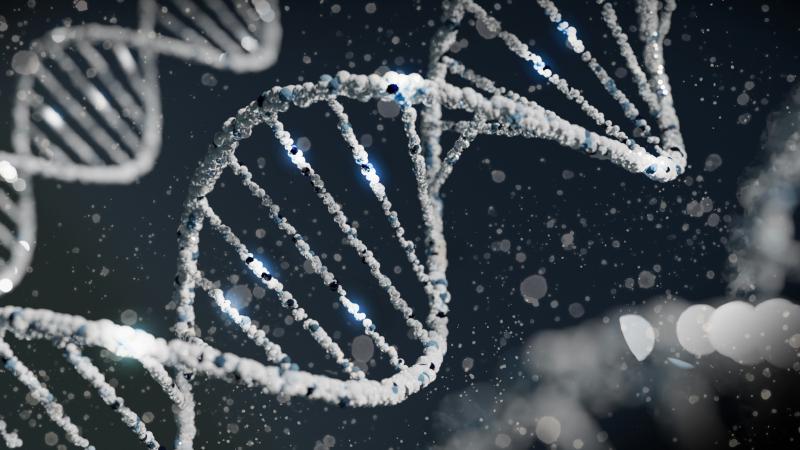 Featured image of post 発達障害は遺伝する？30歳で診断された私が「親譲りの特性」をポジティブに捉えられた理由